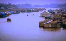Sắp có làng bè độc nhất ở miền Tây