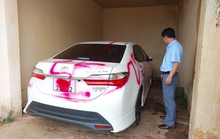 Giám đốc một cơ quan ở Gia Lai bị xịt sơn lên ôtô