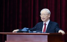 Tổng Bí thư: Cho nghỉ công tác, nghỉ hưu, bố trí công tác 14 cán bộ diện Trung ương quản lý