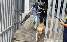 Xảy ra cháy, người phụ nữ hoảng loạn lao vào nhà vệ sinh chờ... cứu hộ!