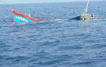 Tàu cá  Quảng Nam bị một tàu sắt đâm chìm