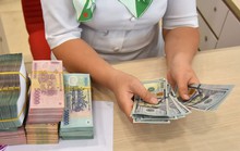 Thu hút nguồn lực vàng từ kiều hối (*): Nên có chính sách đặc biệt