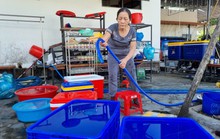Cấp nước nhỏ giọt giữa mùa nắng: Tỉnh Quảng Nam chỉ đạo nóng
