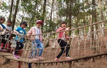 Hoạt động trải nghiệm cần đúng mục đích