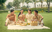Dinh dưỡng đột phá từ sâm Ngọc Linh của sữa Värna Elite