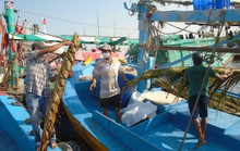 Làm nhà cư ngụ cho cá