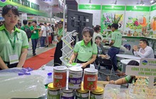 Ngành dừa sắp gia nhập CLB xuất khẩu tỉ USD