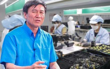 Chuyên gia nói gì về đề xuất nghỉ việc 3 tháng được rút BHXH một lần