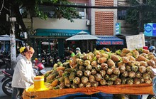 Thất thường thị trường trái cây trong nước
