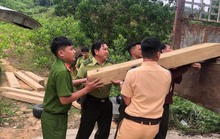 Quảng Ngãi phát hiện bí mật trong những chiếc ôtô vô chủ
