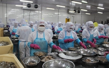FED tăng lãi suất cơ bản, xuất khẩu Việt Nam ra sao?