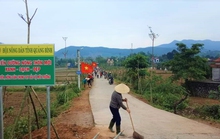 Đảng viên đi trước