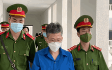 Chủ tịch Louis Holdings thổi giá cổ phiếu thu lời hàng trăm tỉ đồng hầu toà