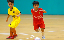 Bà Rịa - Vũng Tàu khởi tranh giải bóng đá U9 mở rộng