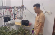 Bí mật bên trong căn nhà ở quận Bình Tân, TP HCM