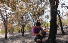 Đốt rừng phòng hộ để diễn tập chữa cháy cho… sát thực tiễn