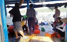 Sau loạt bài côn đồ lộng hành ở Vịnh Vân Phong: Trả lại bình yên cho người dân