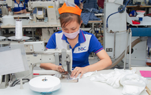 Phục hồi nhưng chưa bền vững