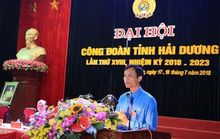 Nguyên chủ tịch LĐLĐ tỉnh Hải Dương bị bắt