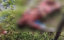Bịa chuyện tình địch kéo thi thể người phụ nữ xuống ao
