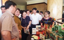 Đẩy mạnh kết nối du lịch rừng với biển giữa Tây Nguyên và Phú Yên