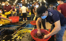 Chưa phát hiện vi phạm vệ sinh an toàn thực phẩm tại chợ Bình Điền