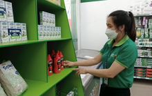 TP HCM có 3 nhóm ngành tuyển dụng cao