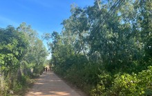 Cấp sổ đỏ mà không giao đất