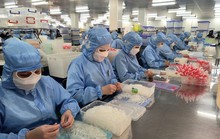 Lên phố hay về quê?