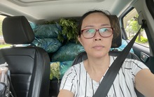 Dòng sông đỏ mải miết chảy vì người