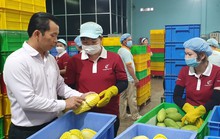 Quản lý rủi ro khi xuất khẩu nông sản tươi