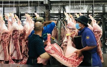 Sàn giao dịch thịt heo ở TP HCM sẽ làm những việc gì?