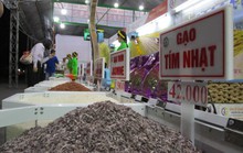Chủ tịch và Tổng giám đốc Công ty gạo Trung An cùng từ nhiệm