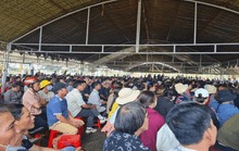 Tỉnh Đắk Lắk và các bộ, ngành Trung ương đối thoại với hơn 1.000 người nhận khoán