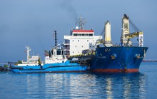 Quảng Ngãi: Có bến cảng tổng hợp đón tàu trọng tải 50.000 tấn