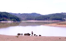 Lâm Đồng: Đề xuất 1.479 tỉ đồng xây dựng dự án hồ Đan Kia 2