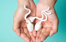 Quan hệ tình dục mỗi ngày có làm kho đạn cạn kiệt?
