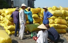 Bộ Công Thương: Tránh mua gom gạo ồ ạt, đẩy giá trong nước tăng bất hợp lý
