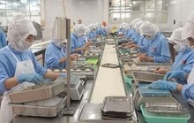 BHXH phản hồi về đề xuất giảm đóng bảo hiểm thất nghiệp của doanh nghiệp