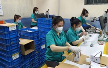 Đang đàm phán để điều chỉnh lương tối thiểu vùng năm 2024