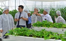 Lâm Đồng khánh thành trang trại thông minh  do Hàn Quốc viện trợ vốn