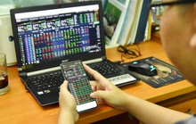 Những cổ phiếu đáng chú ý ngày 11-9