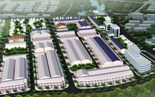 Lý do Công ty VN Đà Thành xin tạm dừng cưỡng chế thuế