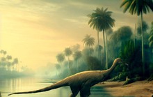 Nhật Bản: Phát hiện đà điểu lai khủng long 121 triệu tuổi