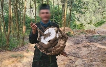 Từ Nghệ An ra Thanh Hóa săn ong, nam thanh niên được phát hiện chết trong rừng
