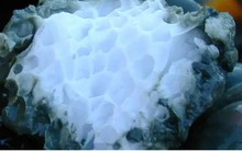 NASA: Vật lạ dưới biển ẩn chứa manh mối sự sống ngoài Trái Đất