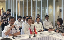 TP HCM và Jakarta còn nhiều dư địa hợp tác