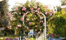 Khu vườn trở nên lãng mạn nhờ cổng vòm rực rỡ sắc hoa