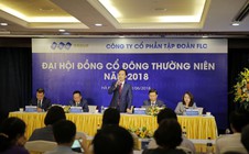 Tập đoàn FLC đạt tăng trưởng doanh thu 87,8% năm 2017