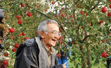 Vườn táo đẹp như cổ tích của cụ ông người Nhật
